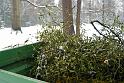 2010-12-08, Nebel (10)